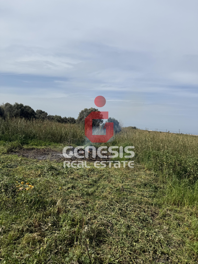 property-img
