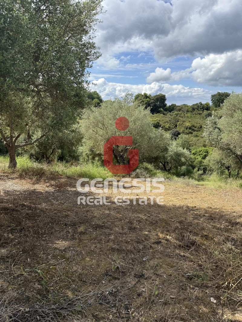 property-img