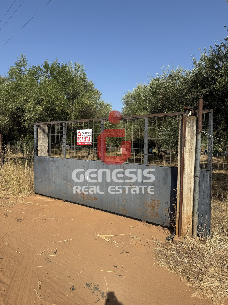property-img