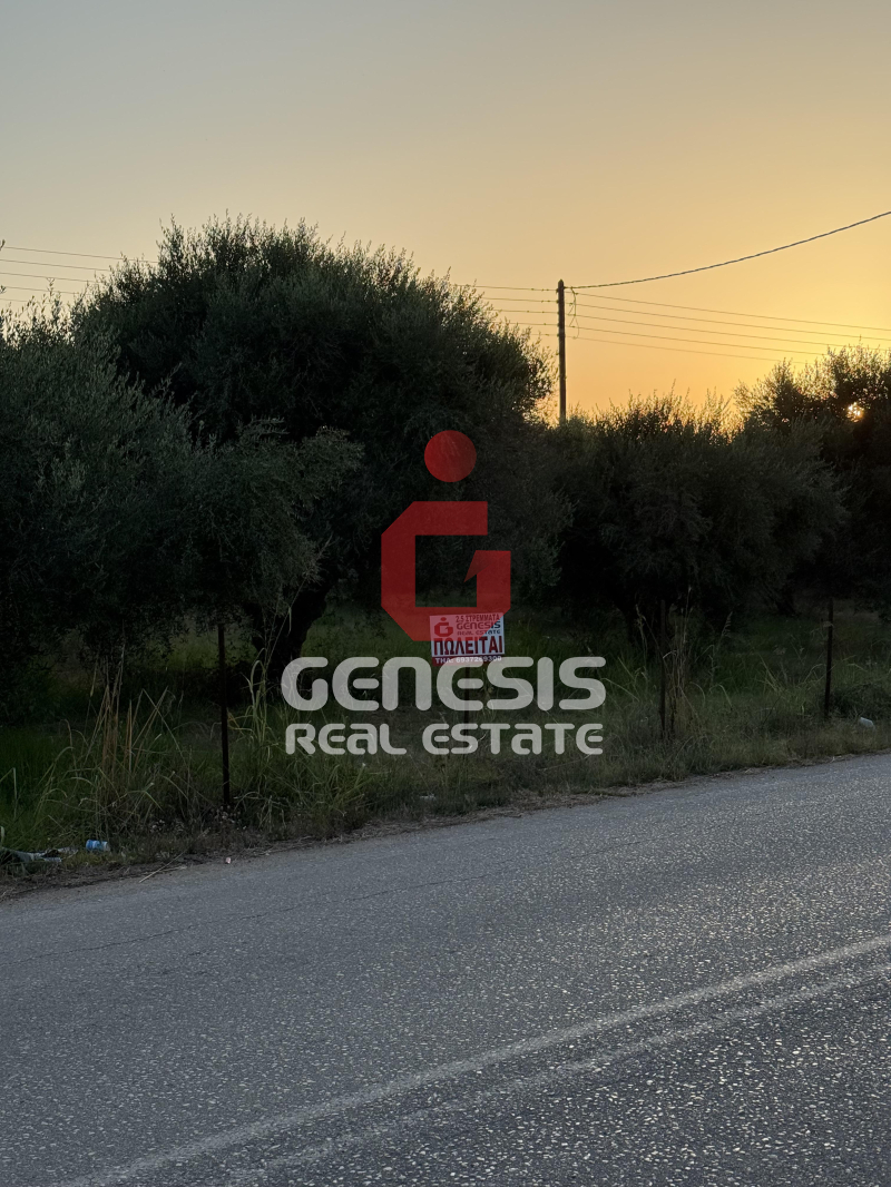 property-img
